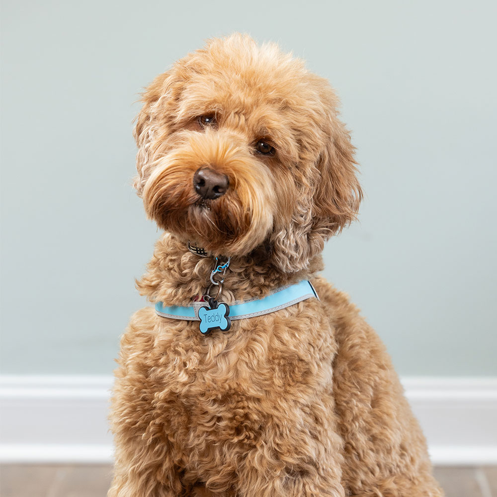 Ted E. Bear - Personal Assistant to the Executive Staff at the von Herrmann Law Firm